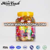 HACCP ISO FDA Certified Jar Fruit Pudding Jelly